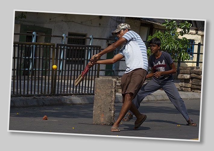 Cricket